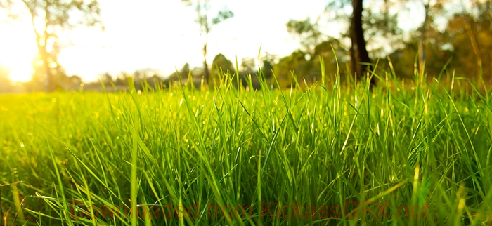 短信电话免费轰炸网站