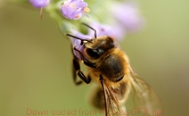 无限轰炸手机软件手机号下载